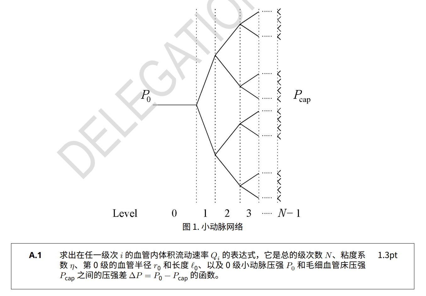 国际物理奥林匹克比赛题库及答案图片